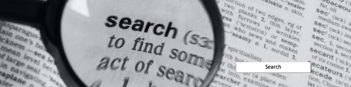 Slider for Search Feature